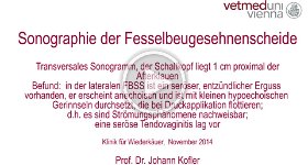 7 Sonographie seroese Entzuendung der FBSS